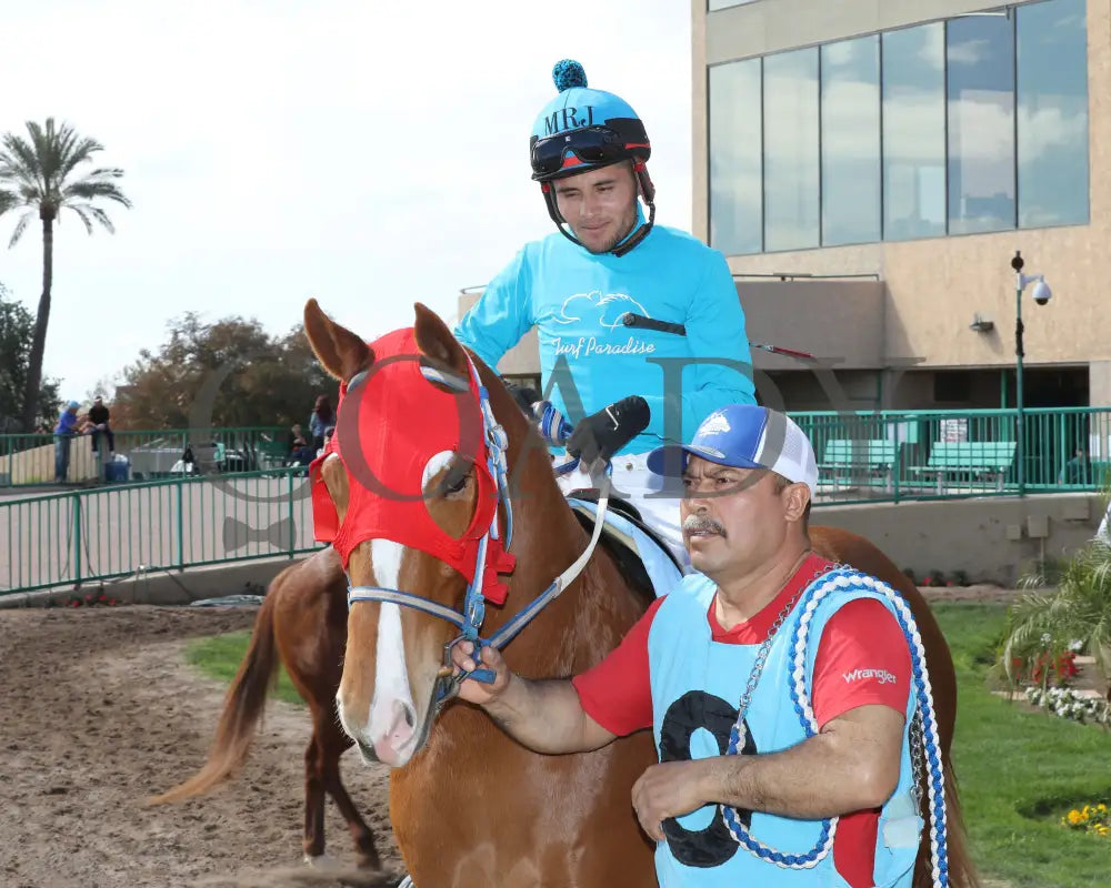 Hes My Sweetheart - Turf Paradise Maiden Stakes 02-21-24 R02 Post Parade