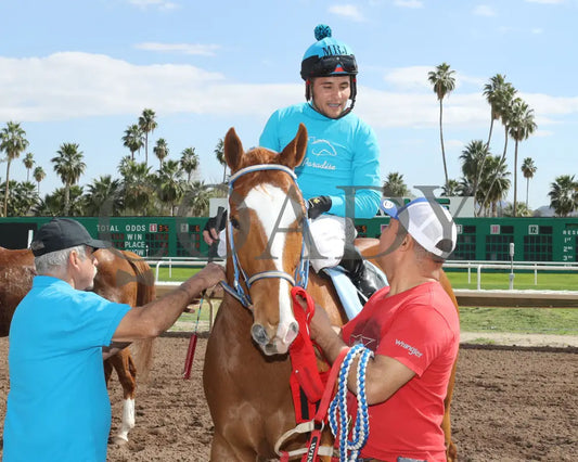 Hes My Sweetheart - Turf Paradise Maiden Stakes 02-21-24 R02 Return Shot 2