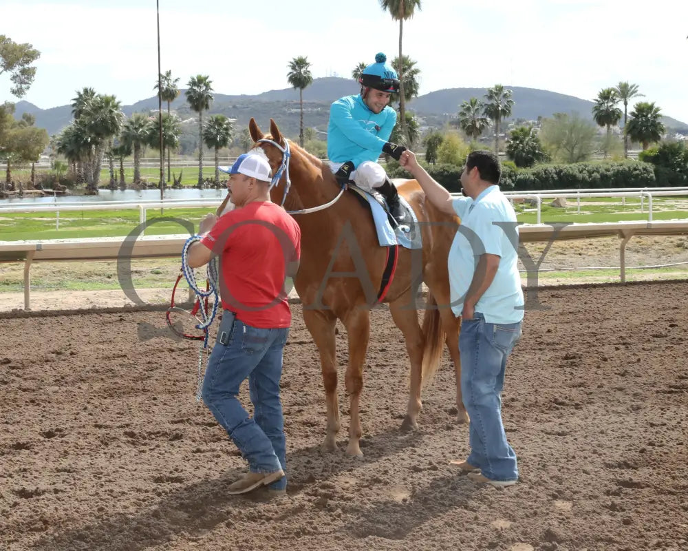 Hes My Sweetheart - Turf Paradise Maiden Stakes 02-21-24 R02 Return Shot