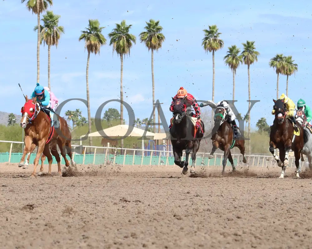Hes My Sweetheart - Turf Paradise Maiden Stakes 02-21-24 R02 Under Rail