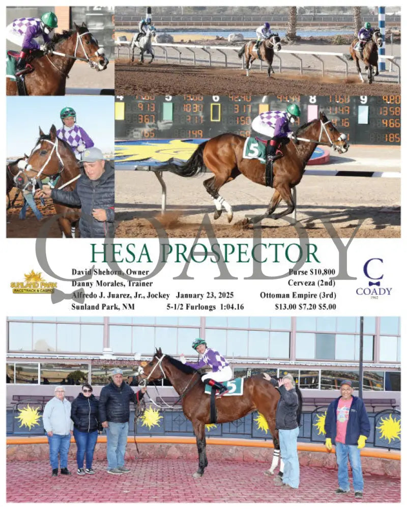 Hesa Prospector - 01-23-25 R09 Sun Turfway Park