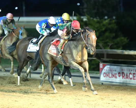 Hessica - The Sadie Hawkins Stakes 08-23-24 R07 Ct Finish 02 Hollywood Casino At Charles Town Races