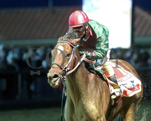 Hessica - The Sadie Hawkins Stakes 08-23-24 R07 Ct Inside Finish 01 Hollywood Casino At Charles