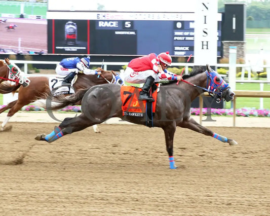 HEZA HAWKEYE - Heartland Futurity Final - 07-19-25 - R05 - Horseshoe Indiana - Finish 01 - Sammantha Pagels Indiana