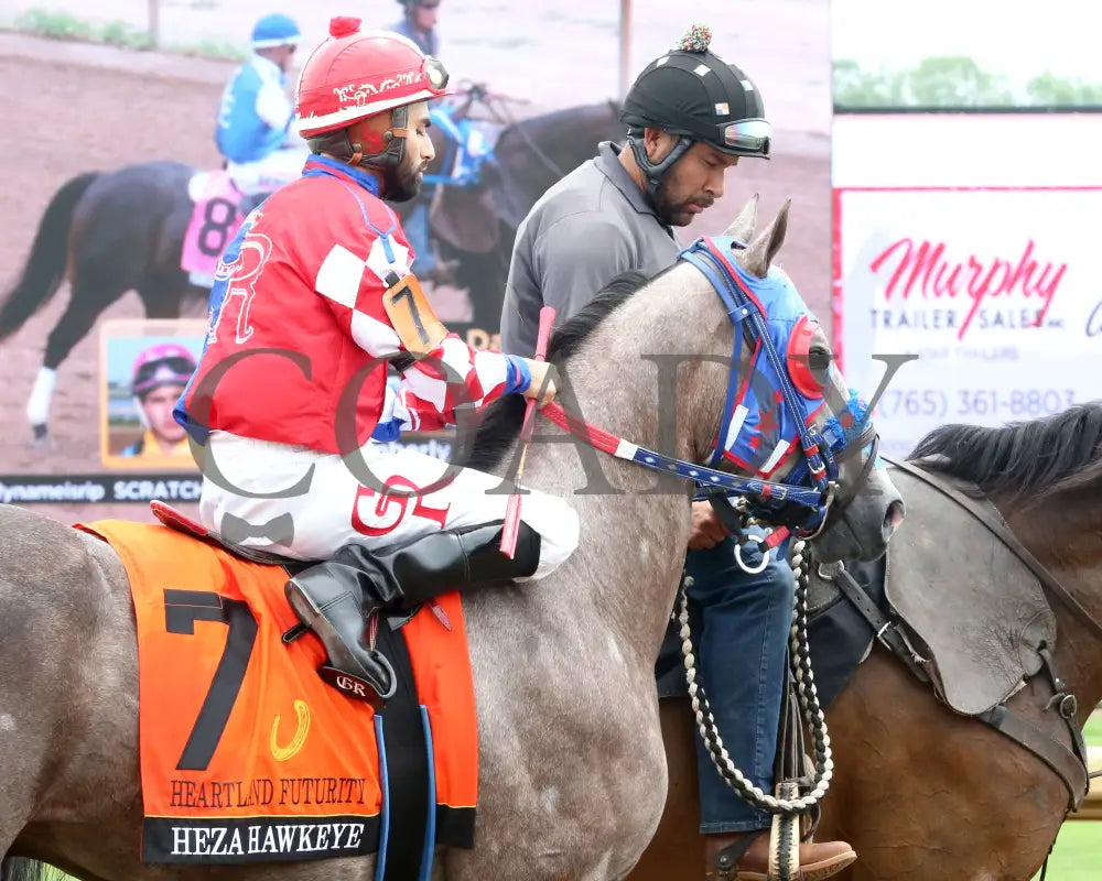 HEZA HAWKEYE - Heartland Futurity Final - 07-19-25 - R05 - Horseshoe Indiana - Post Parade 01 - Sammantha Pagels