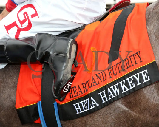 HEZA HAWKEYE - Heartland Futurity Final - 07-19-25 - R05 - Horseshoe Indiana - Saddle Towel 01 - Sammantha Pagels