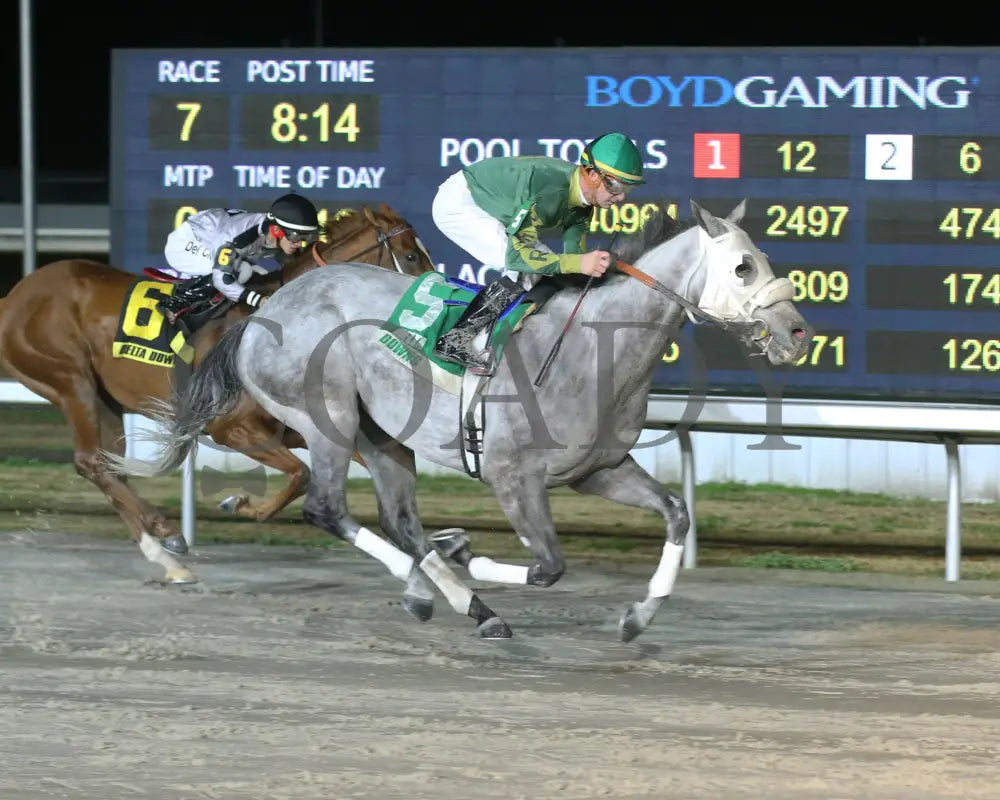 Heza Pickle - La Bred Premier Gentlemen Starter 02-03-24 R07 Delta Downs Finish