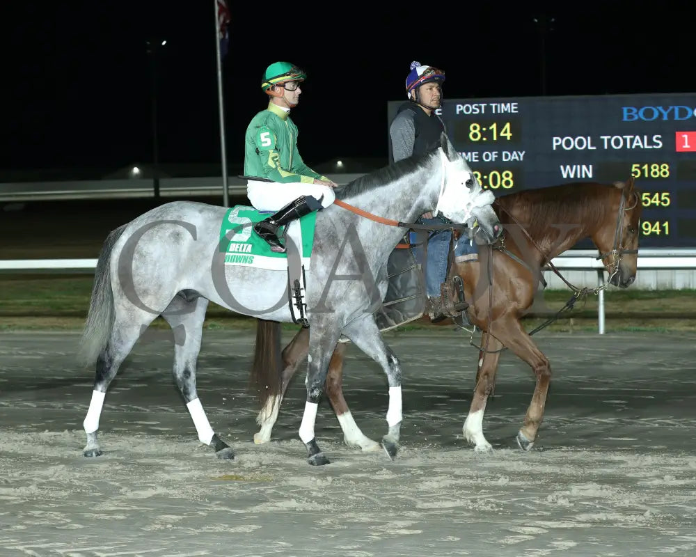 Heza Pickle - La Bred Premier Gentlemen Starter 02-03-24 R07 Delta Downs Post Parade