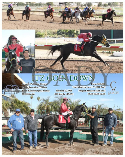 Hezadoozie - 01-02-25 R08 Tup Turf Paradise