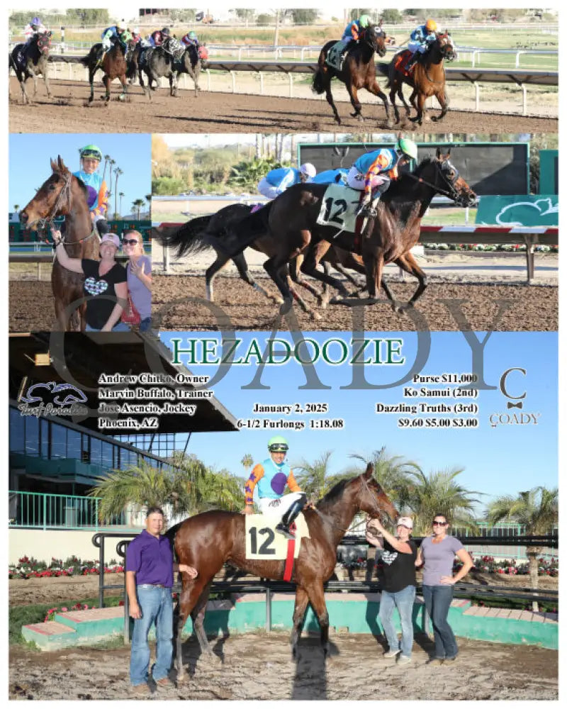 Hezadoozie - 01-02-25 R08 Tup Turf Paradise