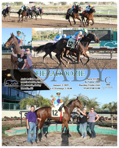 Hezadoozie - 01-02-25 R08 Tup Turf Paradise