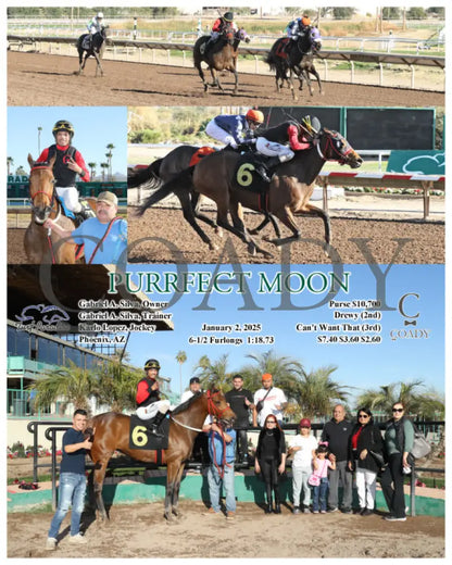 Hezadoozie - 01-02-25 R08 Tup Turf Paradise