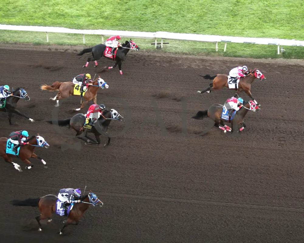 Hezgothelook Z - All American Quarter Horse Futurity 09-02-24 R11 Alb Downs At Albuquerque
