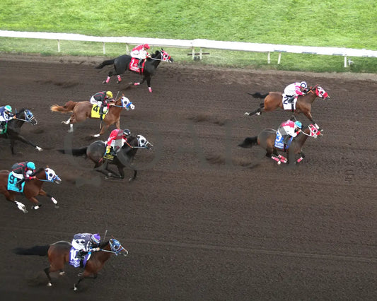 Hezgothelook Z - All American Quarter Horse Futurity 09-02-24 R11 Alb Downs At Albuquerque