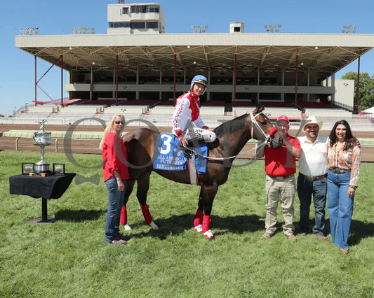 Hezgothelook Z - All American Quarter Horse Futurity 09-02-24 R11 The Downs At Albuquerque 012