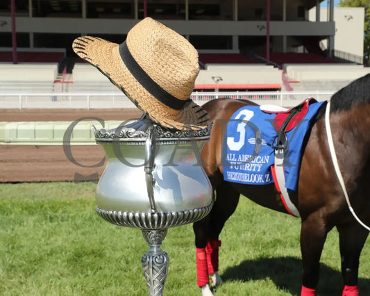 Hezgothelook Z - All American Quarter Horse Futurity 09-02-24 R11 The Downs At Albuquerque 022