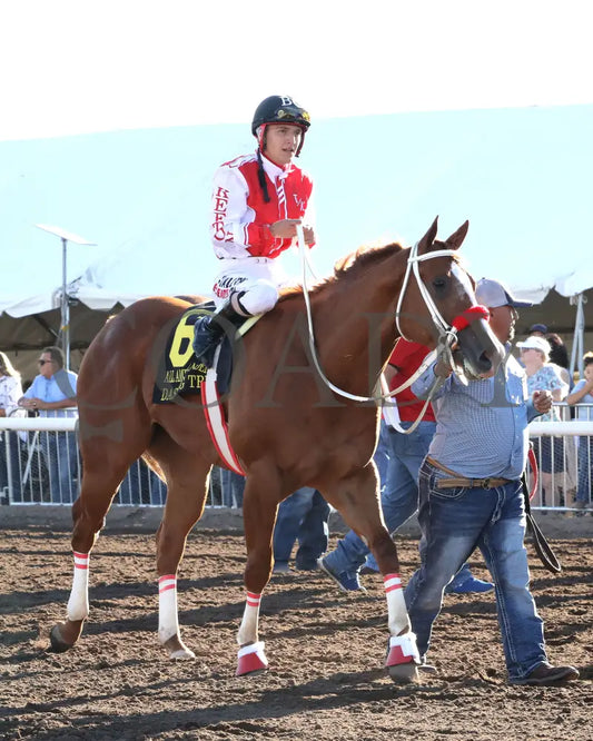 Hezgothelook Z - All American Quarter Horse Futurity 09-02-24 R11 The Downs At Albuquerque Come
