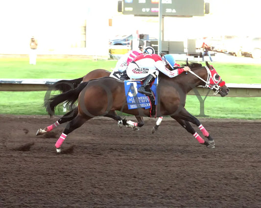 Hezgothelook Z - All American Quarter Horse Futurity 09-02-24 R11 The Downs At Albuquerque Finish 02