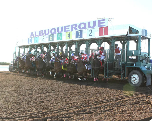 Hezgothelook Z - All American Quarter Horse Futurity 09-02-24 R11 The Downs At Albuquerque Gate