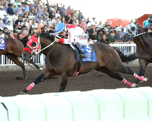 Hezgothelook Z - All American Quarter Horse Futurity 09-02-24 R11 The Downs At Albuquerque Inside