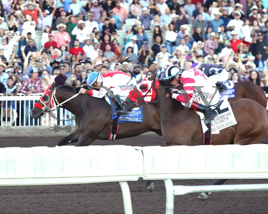 Hezgothelook Z - All American Quarter Horse Futurity 09-02-24 R11 The Downs At Albuquerque Inside