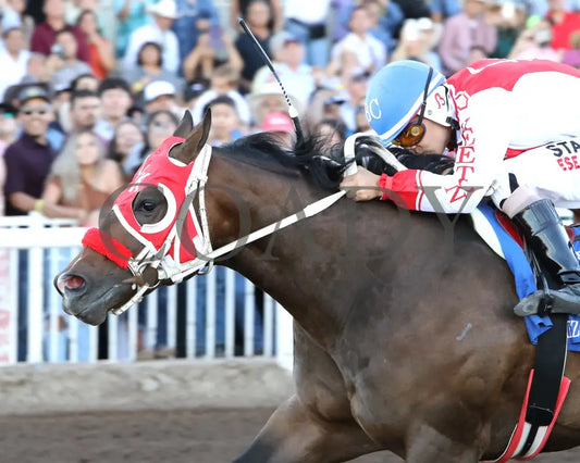 Hezgothelook Z - All American Quarter Horse Futurity 09-02-24 R11 The Downs At Albuquerque Inside