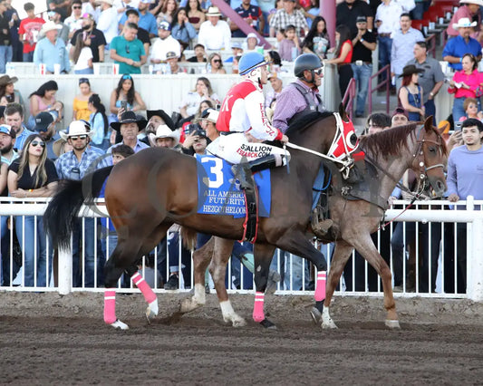Hezgothelook Z - All American Quarter Horse Futurity 09-02-24 R11 The Downs At Albuquerque Post