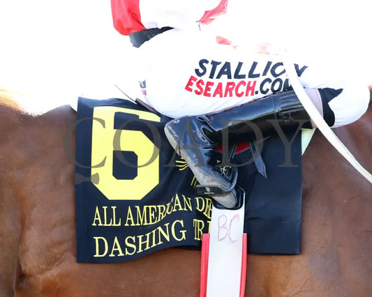 Hezgothelook Z - All American Quarter Horse Futurity 09-02-24 R11 The Downs At Albuquerque Saddle