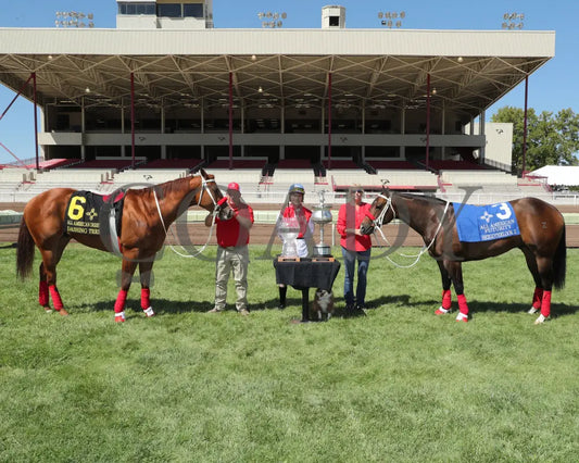 Hezgothelook Z - All American Quarter Horse Futurity Dashing Tres Derby 09-02-24 The Downs At
