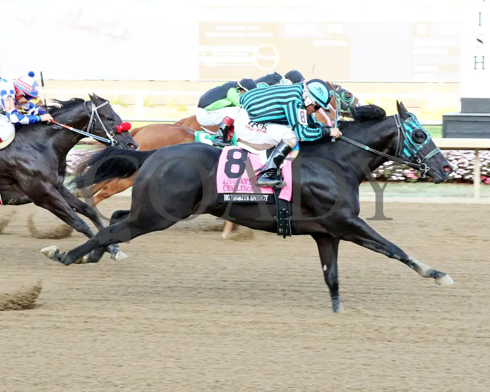 Hg Favorite Energy - Adequan Derby Challenge Finals 09-19-24 R10 Horseshoe Indiana Finish 01