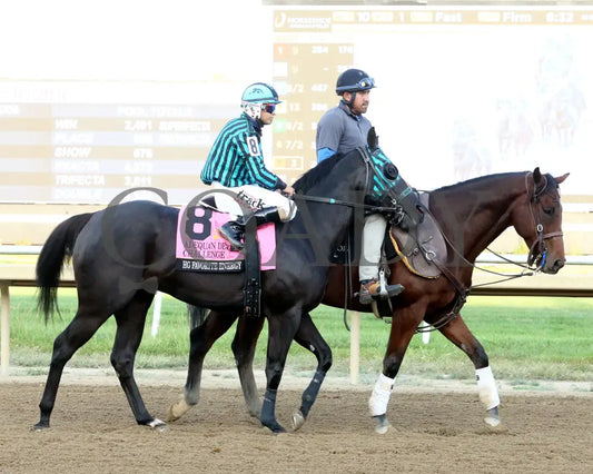 Hg Favorite Energy - Adequan Derby Challenge Finals 09-19-24 R10 Horseshoe Indiana Post Parade 02