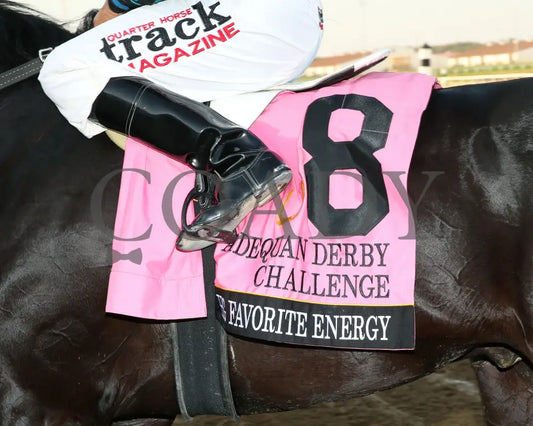 Hg Favorite Energy - Adequan Derby Challenge Finals 09-19-24 R10 Horseshoe Indiana Saddle Towel 01