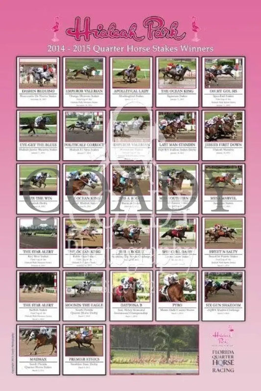 Hialeah Park 14-15 Stakes Winners 24x36 Poster - Coady Media - Kurtis Coady Photography