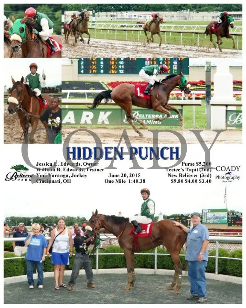 Hidden Punch - 062015 Race 08 Btp Belterra Park