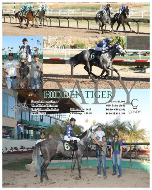HIDDEN TIGER - 02-26-25 - R09 - TUP Turf Paradise