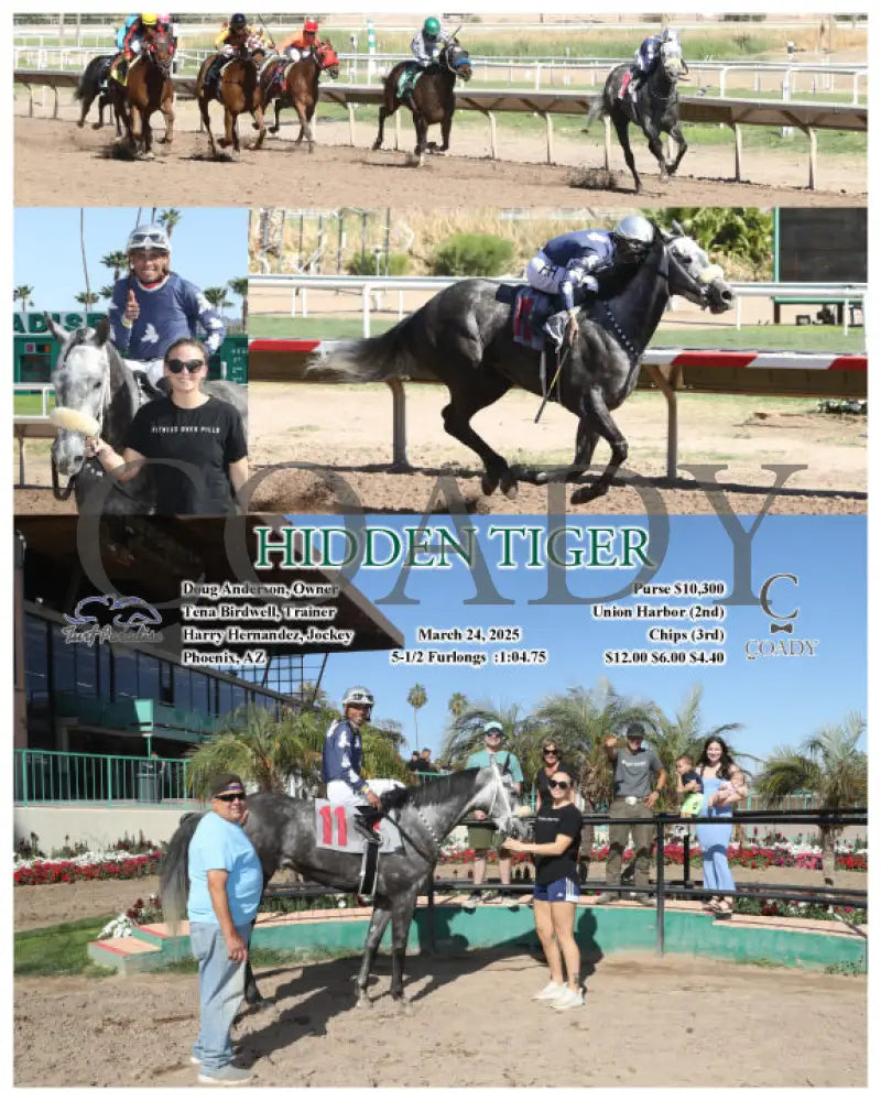 HIDDEN TIGER - 03-24-25 - R06 - TUP Turf Paradise