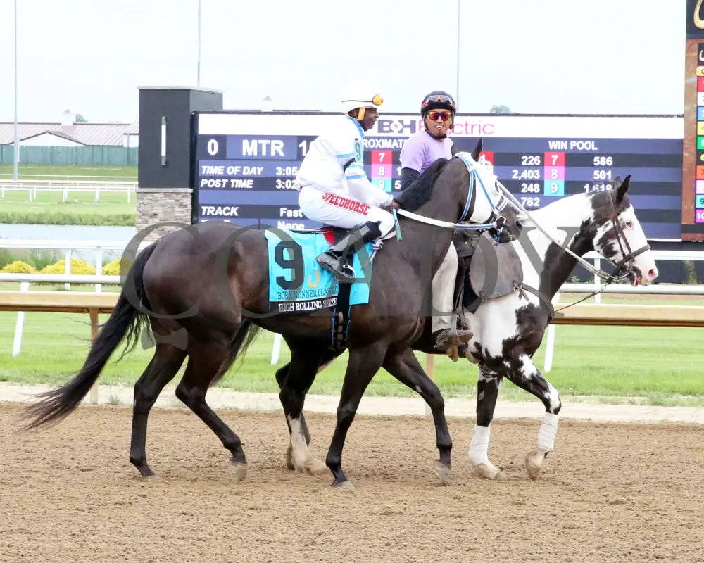 High Rolling Seize - Born Runner Classic 11Th Running 06-01-24 Rrace 13 Horseshoe Indiana Post