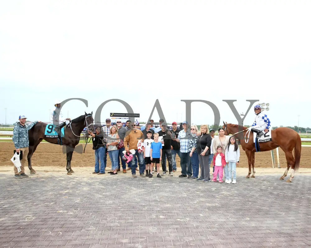 High Rolling Seize - Born Runner Classic 11Th Running 06-01-24 Rrace 13 Horseshoe Indiana Winners