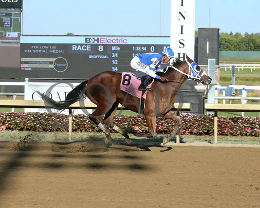 Highest Memories - The Empire 22Nd Running 09-11-24 R08 Horseshoe Indiana Finish 01 Sammantha