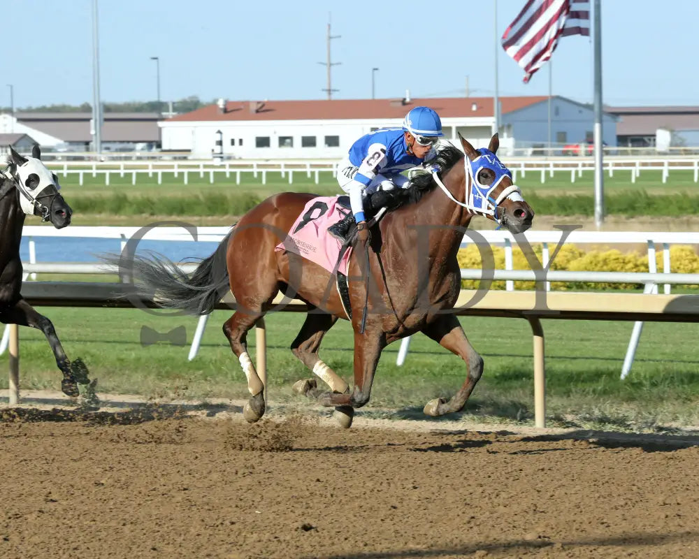 Highest Memories - The Empire 22Nd Running 09-11-24 R08 Horseshoe Indiana Finish 02 Sammantha