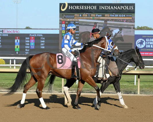 Highest Memories - The Empire 22Nd Running 09-11-24 R08 Horseshoe Indiana Post Parade 01 Sammantha