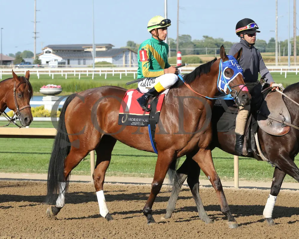 HIGHEST MEMORIES - The Empire - 25th Running - 09-10-25 - R08 - Horseshoe Indiana - Post Parade 01 - Sammantha Pagels