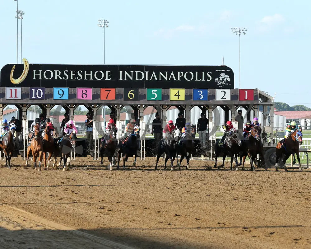 HIGHEST MEMORIES - The Empire - 25th Running - 09-10-25 - R08 - Horseshoe Indiana - Start 01 - Sammantha Pagels Indiana