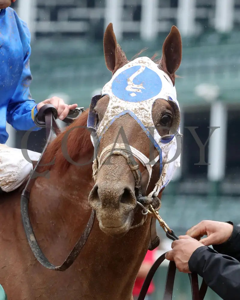 Highland Falls - The Blame G3 5Th Running 06-01-24 R10 Cd Come Back 02 Churchill Downs