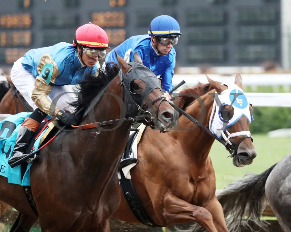 Highland Falls - The Blame G3 5Th Running 06-01-24 R10 Cd First Pass 01 Churchill Downs