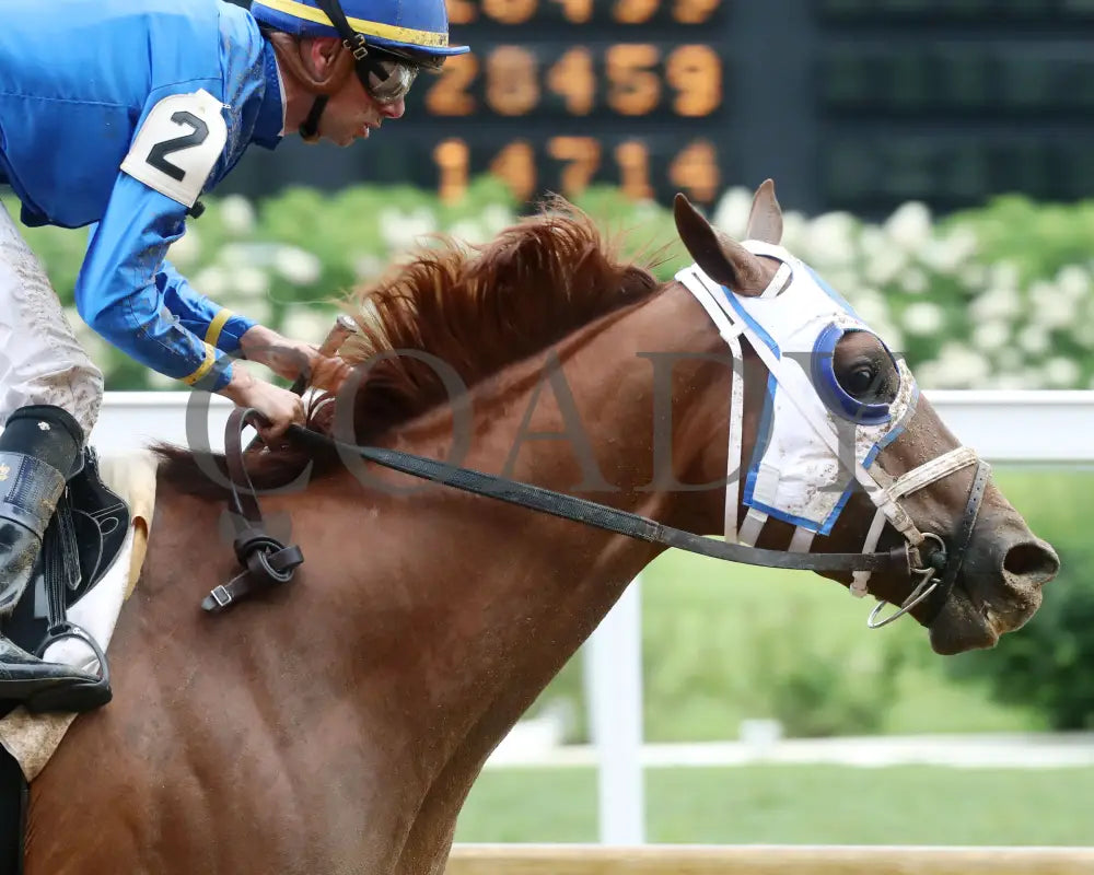 Highland Falls - The Blame G3 5Th Running 06-01-24 R10 Cd Gallop Out 01 Churchill Downs