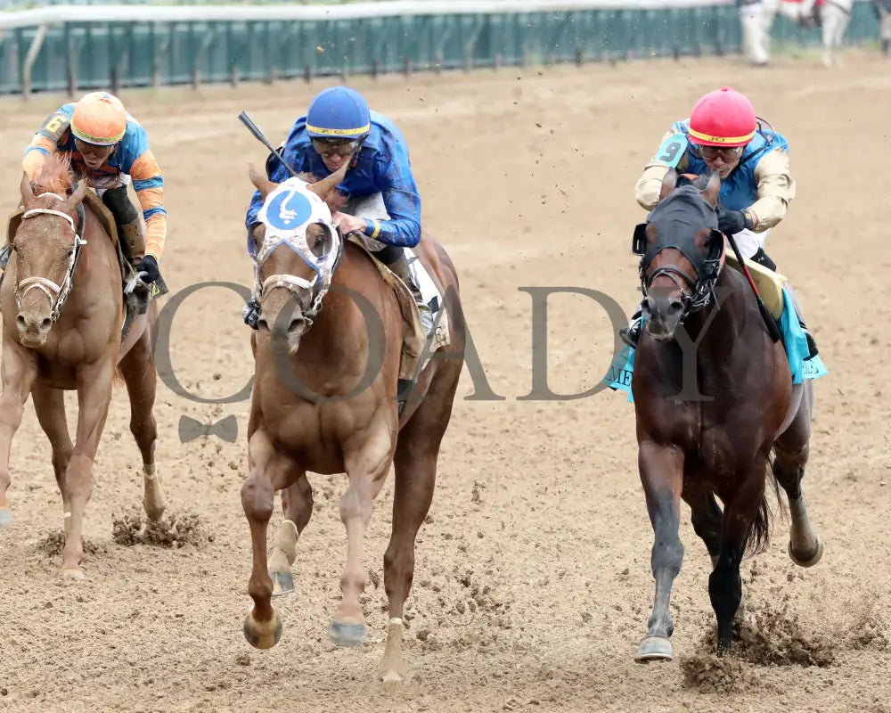 Highland Falls - The Blame G3 5Th Running 06-01-24 R10 Cd Inside Finish 01 Churchill Downs