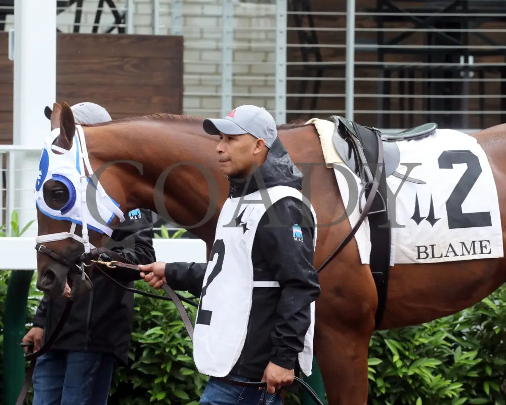 Highland Falls - The Blame G3 5Th Running 06-01-24 R10 Cd Paddock 02 Churchill Downs