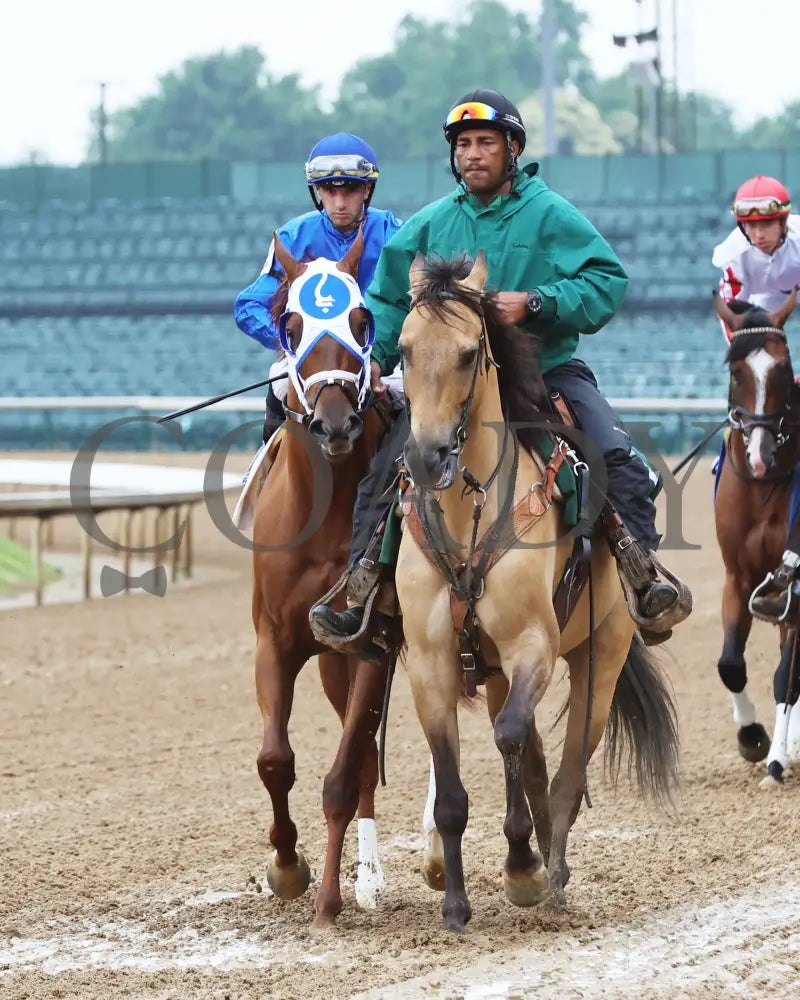 Highland Falls - The Blame G3 5Th Running 06-01-24 R10 Cd Post Parade 01 Churchill Downs
