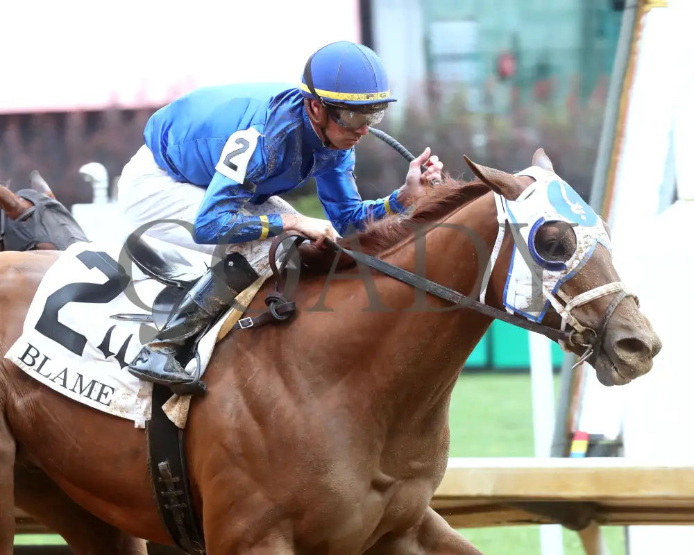 Highland Falls - The Blame G3 5Th Running 06-01-24 R10 Cd Tight Finish 01 Churchill Downs